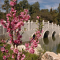 Exploring the Best of Pasadena, California: A Guide to Popular Attractions and Amenities