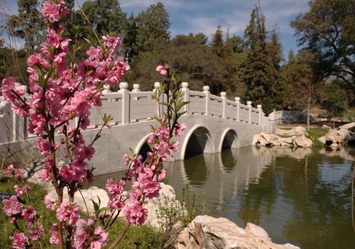 Exploring the Best of Pasadena, California: A Guide to Popular Attractions and Amenities